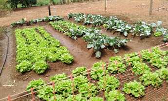 Imagem 6: Chacara residencial triunfo III goianira go