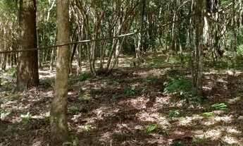 Imagem 2: Lindos terenos pra venda de barbada em novo Hamburgo