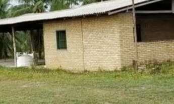 Imagem 3: Fazenda na pista Rodovia BR174, Km 62. 2.888,90ha. 50.000 Pés Açaí. Coqueiral, Hortaliças