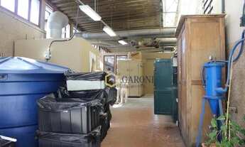 Imagem 7: Prédio, 8813 m² - venda por R$ 26.000.000,00 ou aluguel por R$ 220.325,00/mês - Tucuruvi