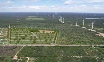 Imagem 6: Loteamento Próximo a praia de Majorlândia - CE