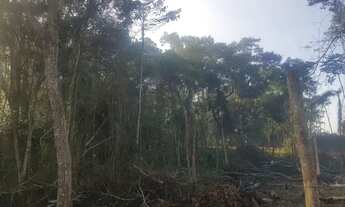 Imagem 6: Terreno pronto para construir