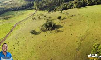 Imagem 5: 19 Hectares área rural - Andradas - Minas Gerais
