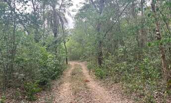 Imagem 4: Fazendinha 20.000 m², agua nos fundos, casa, terra fértil, Jaboticatubas