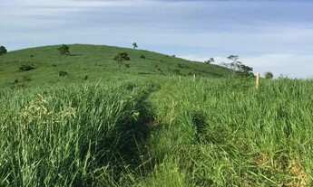 Imagem 2: Venda-se está propriedade de 45 Alqueires no Município de Rio Novo do Sul/
