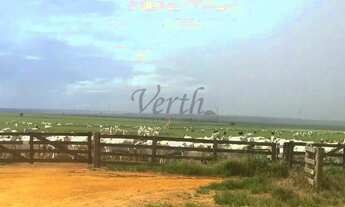 Imagem 2: Fazenda à Venda Região de Campo Novo do Parecis/MT