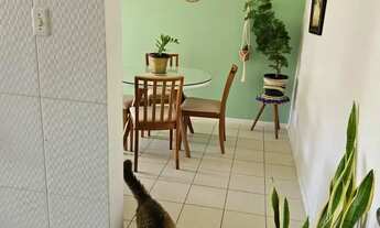 Imagem 6: Imbuí!! Perto de Td, Nascente, Infra, R$ 249.999