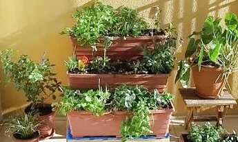 Imagem 5: Apartamento com 03 quartos e 01 vaga escriturada no Bairro Tristeza