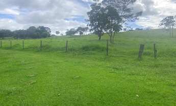 Imagem 6: Sítio próximo Indianapolis