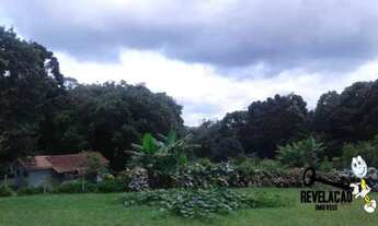 Imagem 5: Chácara com 1 dormitório à venda, 40000 m² por R$ 2.850.000,00 - Contenda - São José dos P