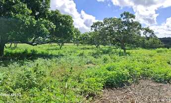 Imagem 5: Excelente área de terra de 9. 5t Distrito TiquaruçúR$ 380.000t