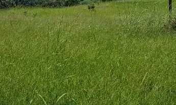 Imagem 5: Fazenda à Venda, zona rural, Rubiataba, GO