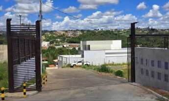 Imagem: LOTE ARNIQUEIRA