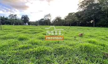 Imagem 5: Chácara 2 alqueires (9,68 hectares) Avelinópolis - Go