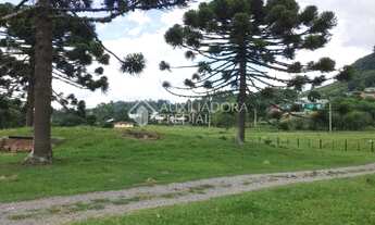 Imagem 7: Propriedade Rural no bairro Serra Grande