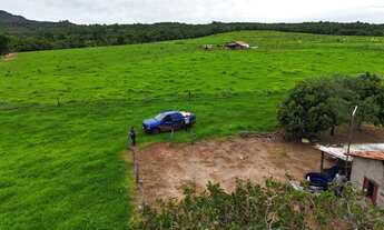 Imagem 7: Fazenda de 239 alqueires em Doverlandia-GO