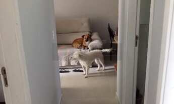 Imagem 6: Open House vende apartamento de 3 quartos no Condomínio Grand Village!