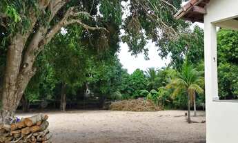 Imagem 7: Chácara à Venda em Gargaú 2.300m² a Poucos Minutos da Praia em São Francisco de Itabapoan