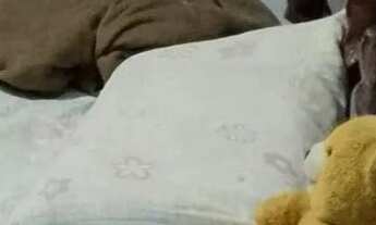 Imagem 5: Kitnet Guarulhos 799,00