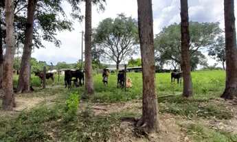 Imagem 5: Fazenda à venda próximo a Padre Bernardo
