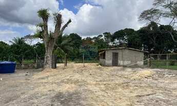 Imagem 6: Sítio dos Sonhos: 20 Tarefas á 15 min do centro, Imperdível!