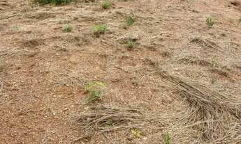 Imagem 3: Vendo lote Corumbá 4