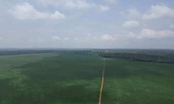 Imagem 2: FAZENDA À VENDA REGIÃO DE NOVA MUTUM MT