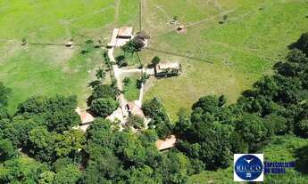 Imagem: Fazenda à Venda em Sanclerlândia - GO