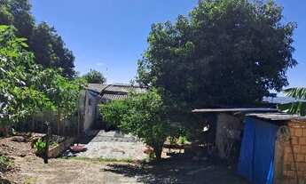 Imagem 3: Casa com energia solar, portão eletrônico e POMAR com muita variedades. P/09