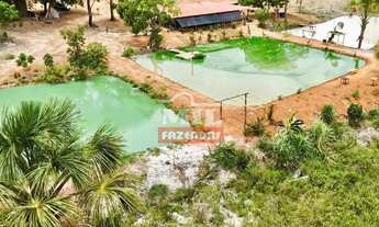 Imagem 5: Chácara 1 alqueire (4,84 hectares) Pontalina - Go