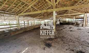 Imagem 6: Fazenda à Venda em Silva Jardim 46,94 Hectares com Porteira Fechada!