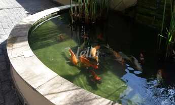 Imagem 2: Apartamento 3 quartos para alugar no(a) Vila Cláudia