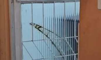 Imagem 3: Aluga-se Kit Net em vilar do teles