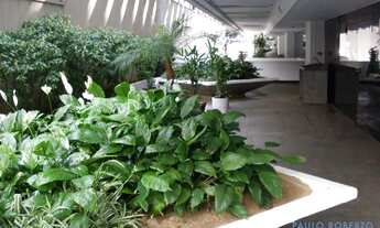 Imagem 7: CONJ. COMERCIAL - PARAÍSO - SP