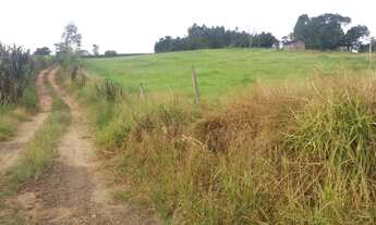 Imagem 7: Sítio em Pinhalão PR 3 alqueires