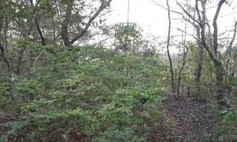 Imagem 7: Oportunidade terreno de 14 hectares,Jaboticatubas (Temos varias opções)