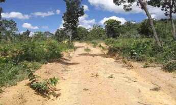 Imagem 5: Lindas fazendinhas de 20 mil metros 100% plana, Jaboticatubas(Temos varias opções)