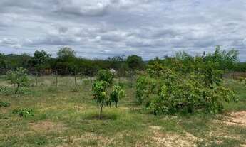 Imagem 3: Vendo chácara roça