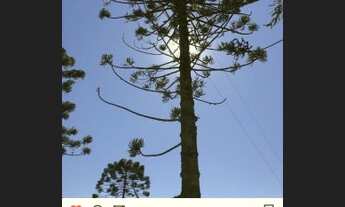 Imagem: Vendo Maravilhoso Terreno