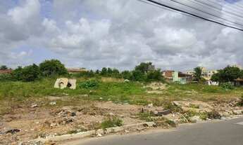 Imagem 4: Terreno localizado no rosa elze. Oportunidade única!