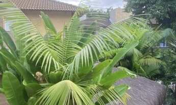 Imagem 4: Casa em Condomínio para Venda - Juquehy , São Sebastião - 200m², 3 vagas