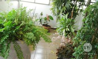 Imagem 5: Cobertura na melhor localização Campo belo