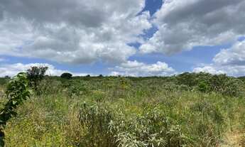 Imagem 3: Vendo área de terra