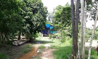 Imagem 5: Excelente chácara 2,5 alqueires á 46 km de Porto Velho