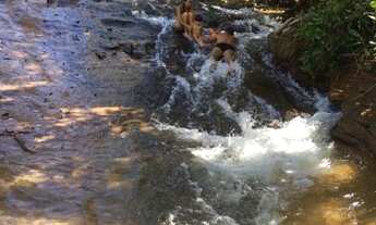 Imagem 3: Chácara no rio vale das águas Claras