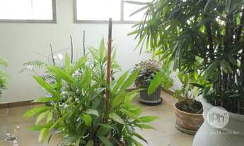 Imagem 2: Cobertura na melhor localização Campo belo