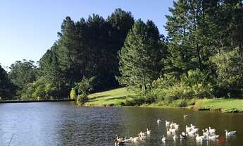 Imagem 6: TERRENO LOMBA GRANDE NOVO HAMBURGO