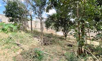 Imagem 5: LOTE ICAIVERA, BETIM/MG