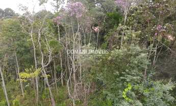 Imagem 5: Ótimo Terreno de Oportunidade à Venda na Região do Vale Encantado - Campos do Jordão/SP