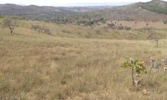 Imagem 2: Maravilhosa fazendinha de 20.000m² com água corrente, Jaboticatubas (Temos varias opções)